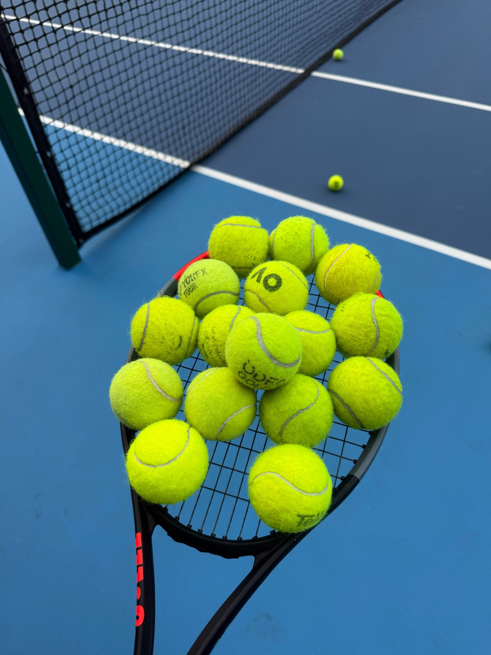 将引起其他 将引起其他