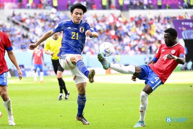 形成了鲜明 形成了鲜明