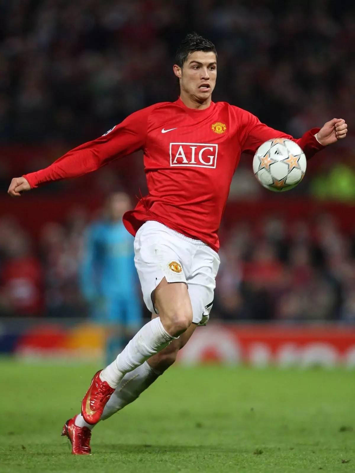 特里与切尔 特里与切尔